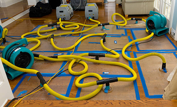 Professional Sewage Cleanup technician working in Easton, CA